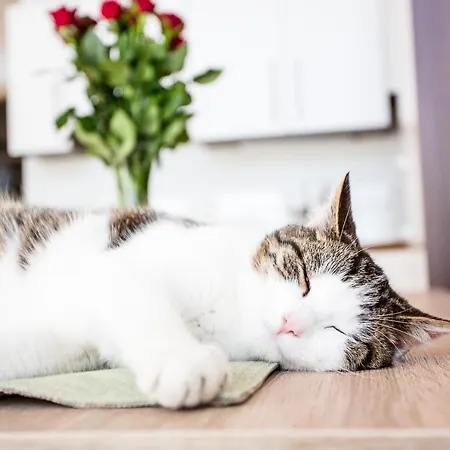 Breitenhof - Haus Breiten