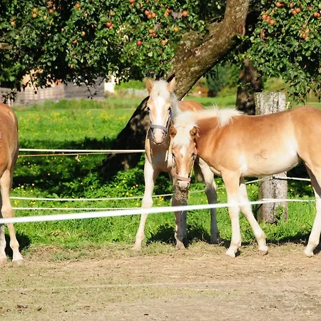 Breitenhof - Haus Breiten * Angath